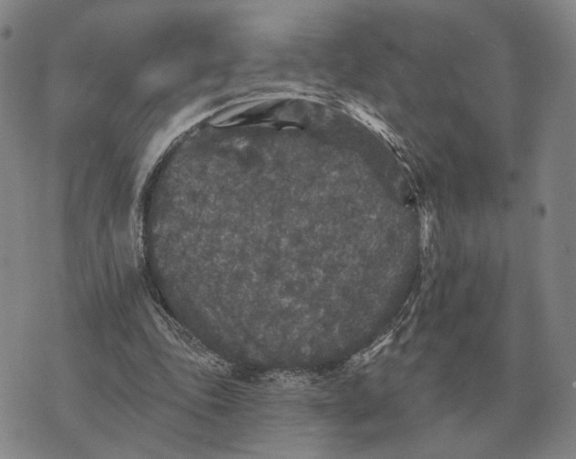 X0000070400343200606231808