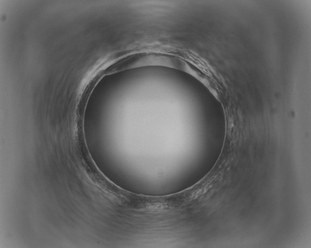 X0000070400344200606231808