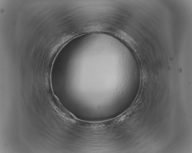 X0000070400345200606231808