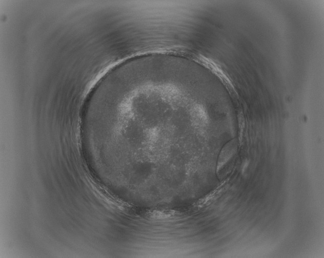 X0000070400346200606231808