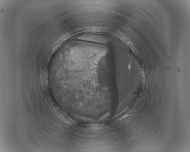 X0000070400347200606231808