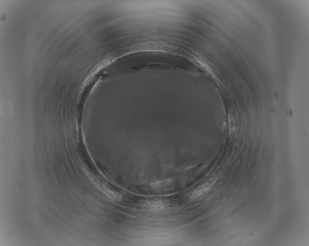 X0000070400349200606231808