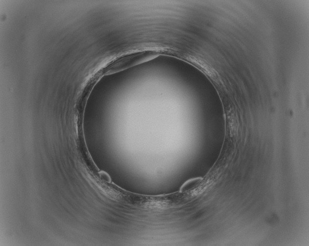 X0000070400350200606231808