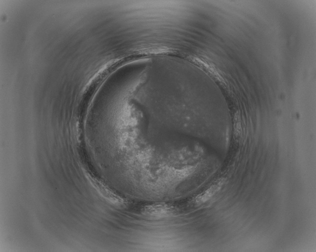 X0000070400351200606231808