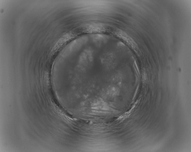 X0000070400353200606231808