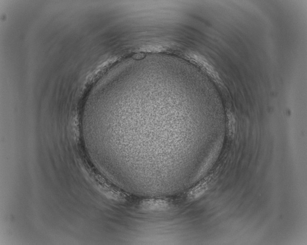 X0000070400354200606231808