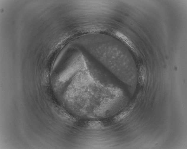 X0000070400355200606231808