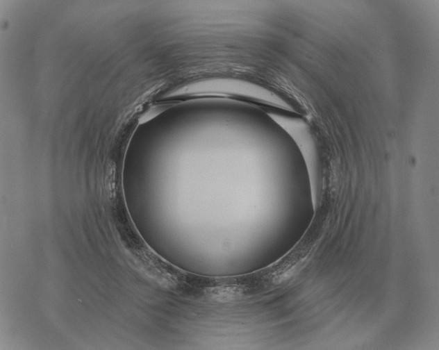 X0000070400356200606231808