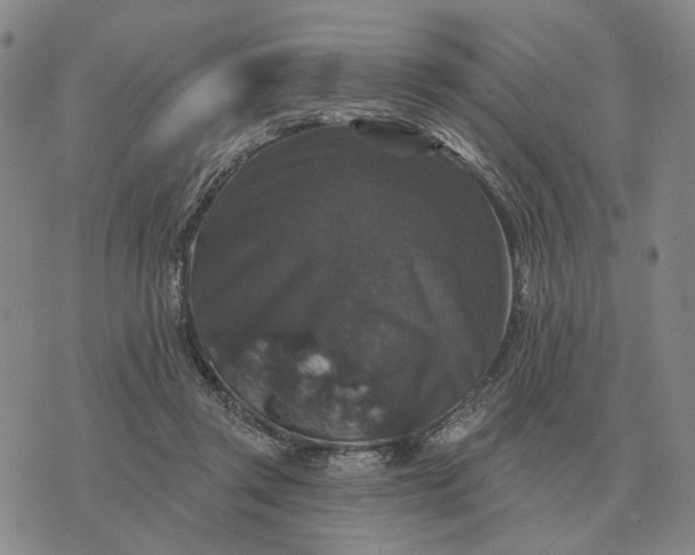 X0000070400357200606231808