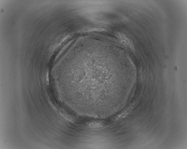 X0000070400358200606231808