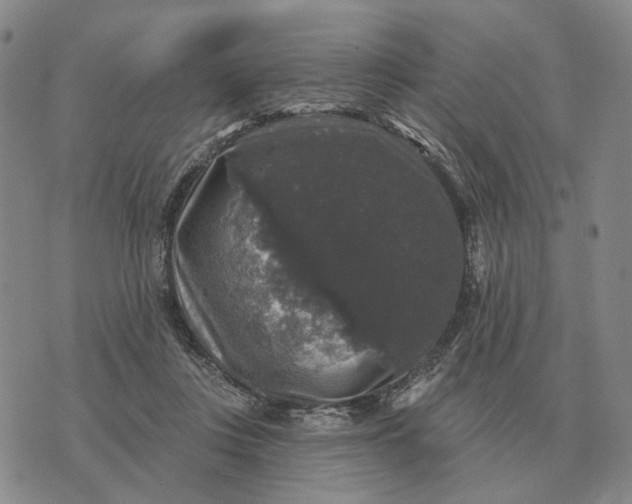 X0000070400359200606231808