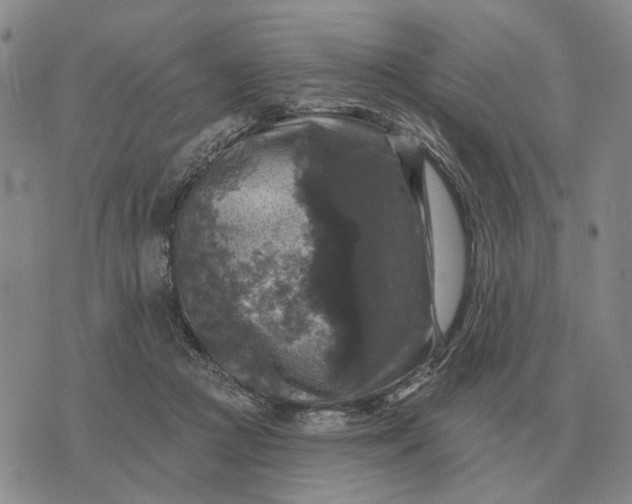 X0000070400361200606231808