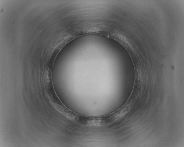 X0000070400362200606231808