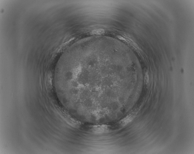 X0000070400363200606231808