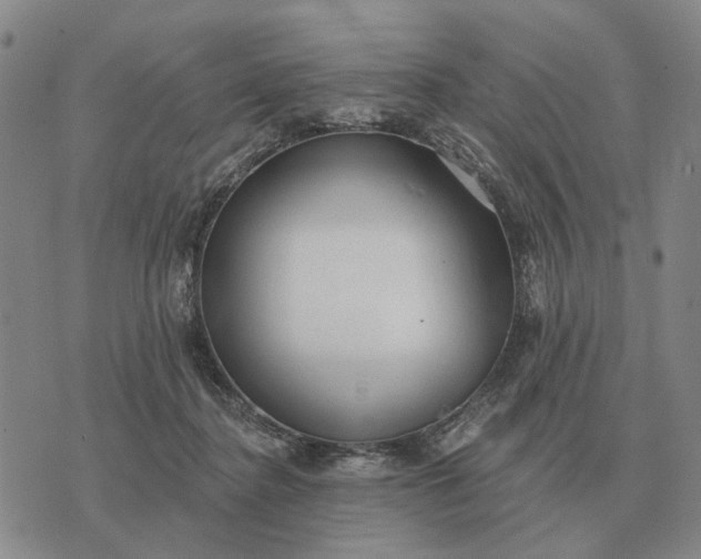 X0000070400364200606231808