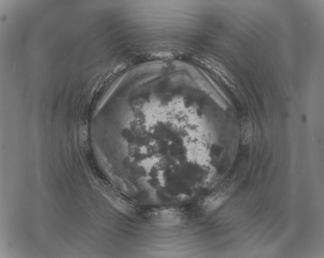 X0000070400365200606231808