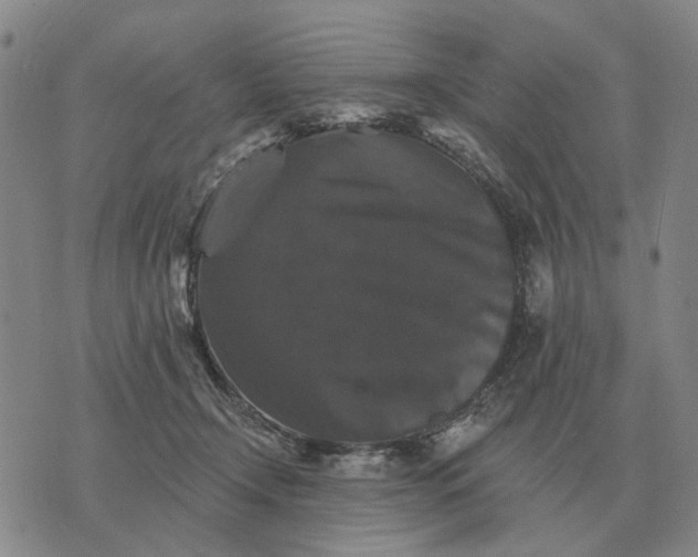 X0000070400366200606231808