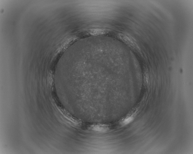 X0000070400367200606231808