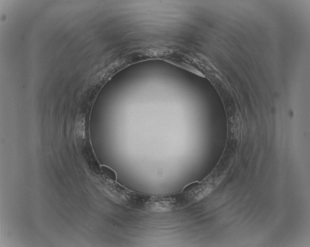 X0000070400368200606231808