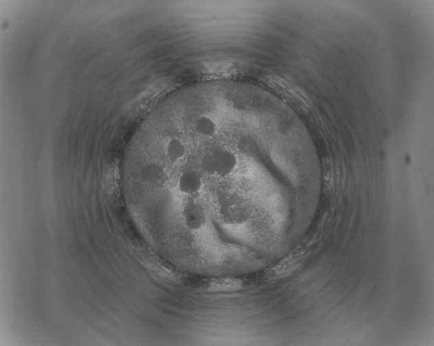 X0000070400369200606231808