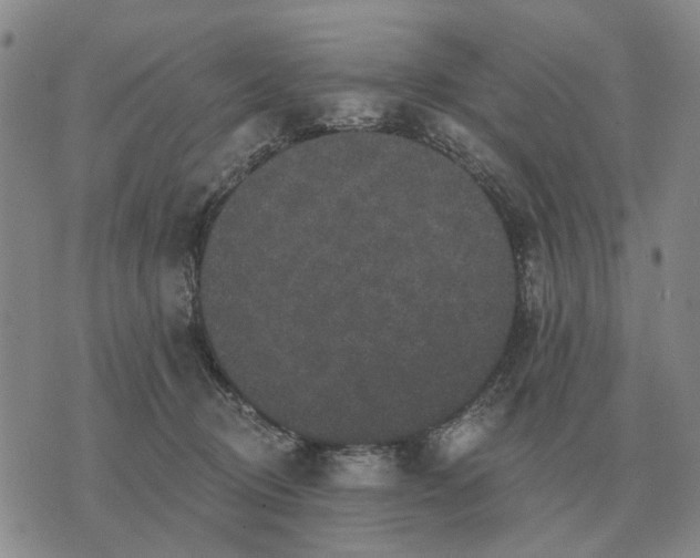 X0000070400370200606231808