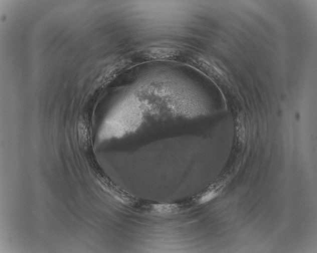 X0000070400371200606231808