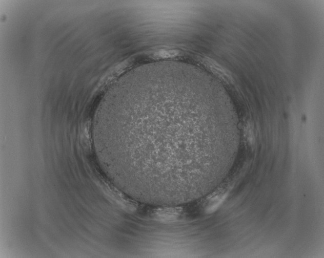 X0000070400373200606231808