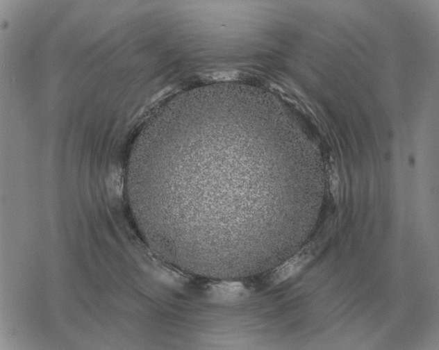 X0000070400374200606231808