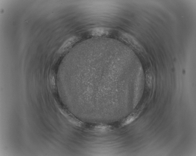 X0000070400375200606231808