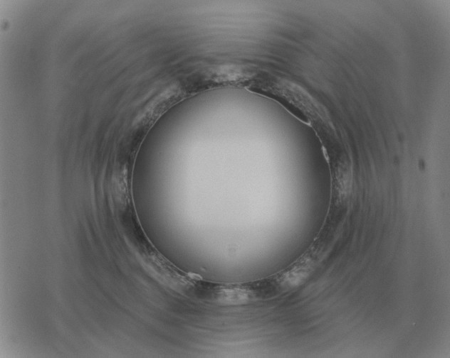 X0000070400376200606231808