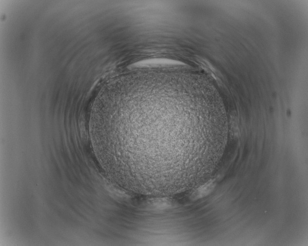 X0000070400377200606231808