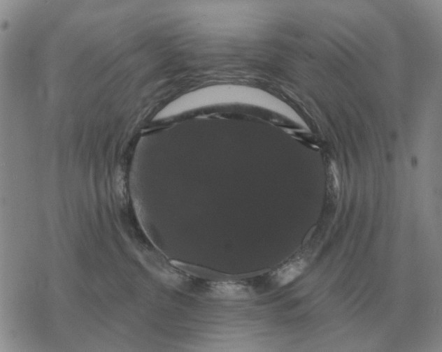 X0000070400380200606231808