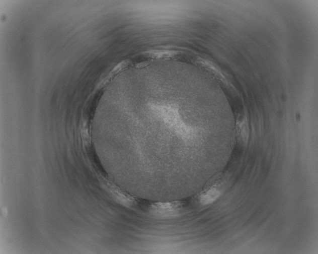 X0000070400381200606231808