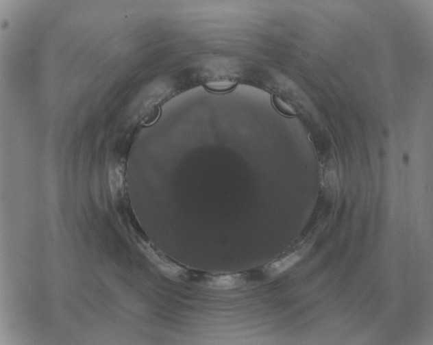 X0000070400382200606231809