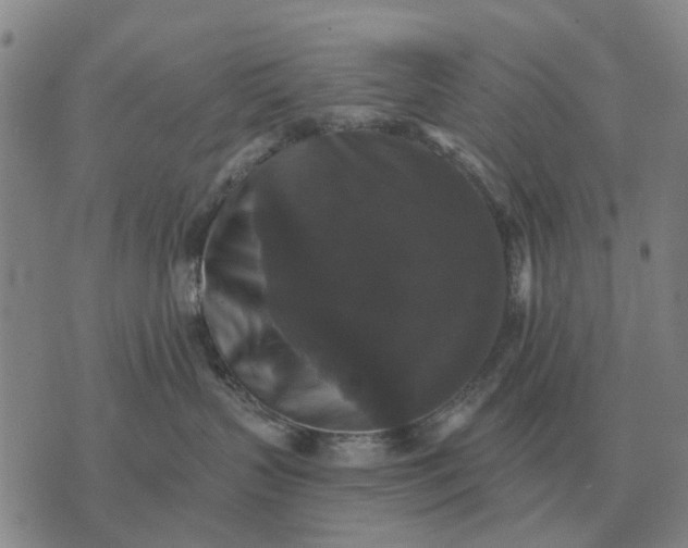 X0000070400383200606231809