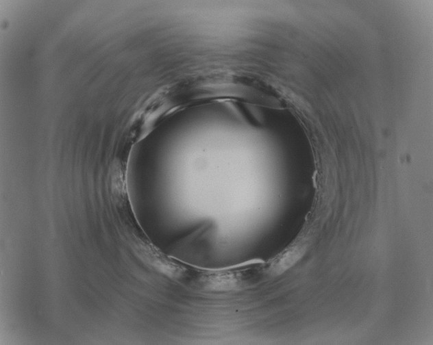 X0000070400384200606231809