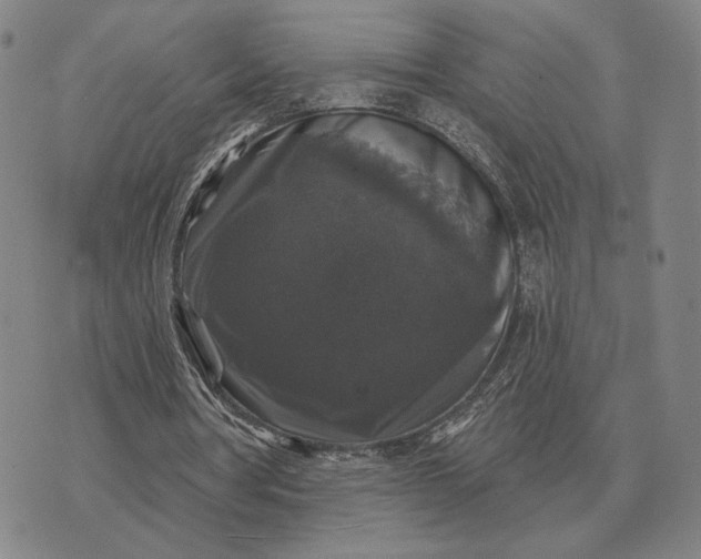 X0000070400386200606231808