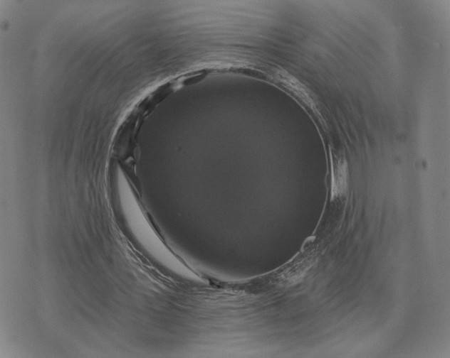 X0000070400387200606231808