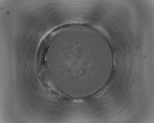 X0000070400388200606231808