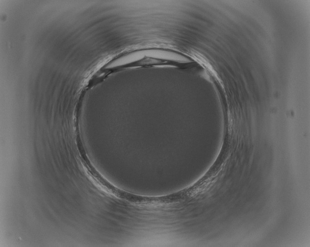 X0000070400389200606231808