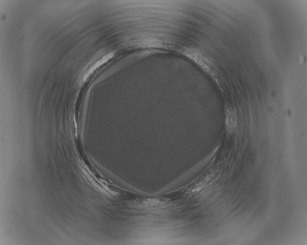 X0000070400390200606231808