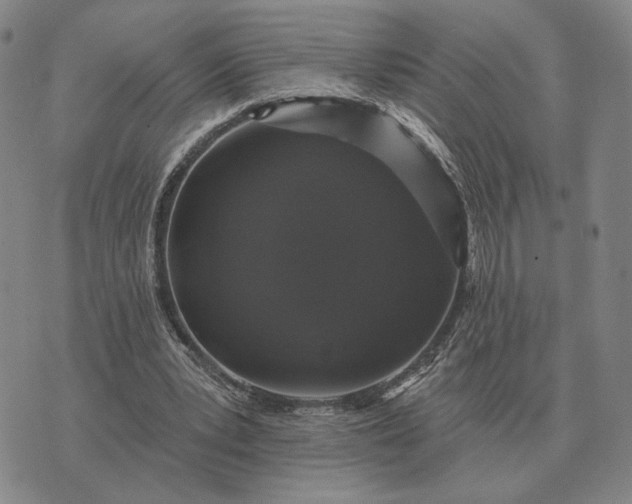 X0000070400391200606231808