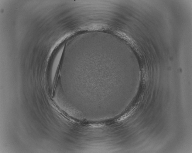 X0000070400392200606231808