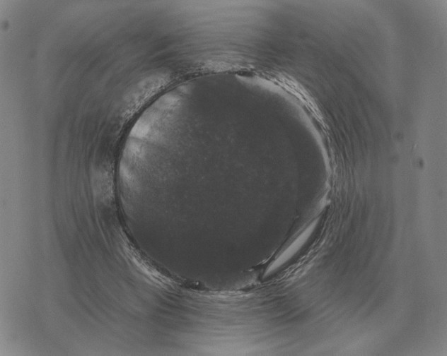 X0000070400393200606231808