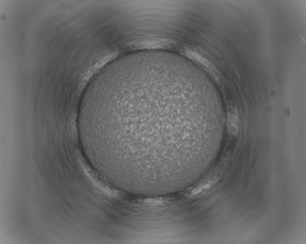 X0000070400394200606231808