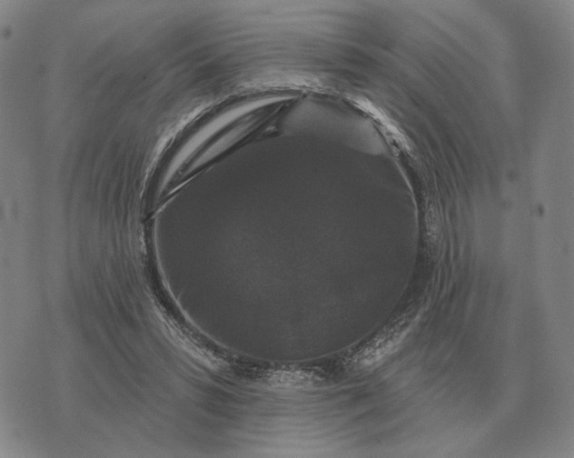 X0000070400399200606231808