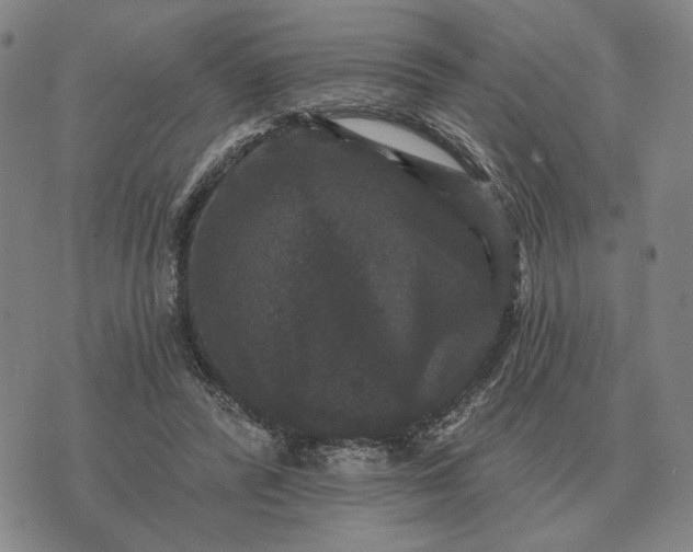 X0000070400400200606231808