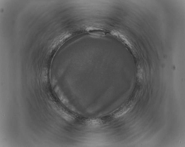 X0000070400402200606231807