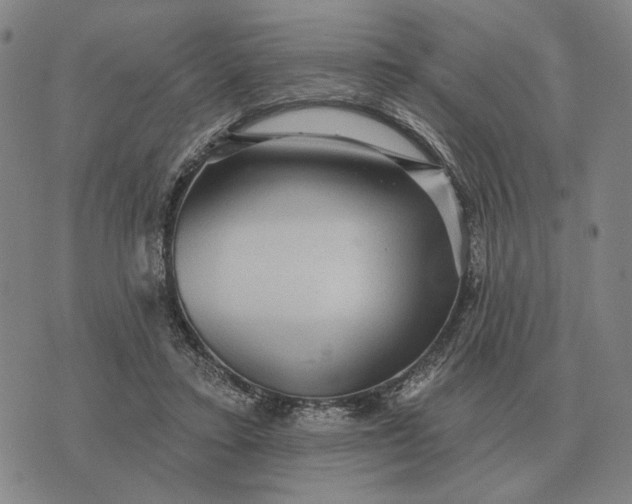 X0000070400403200606231807