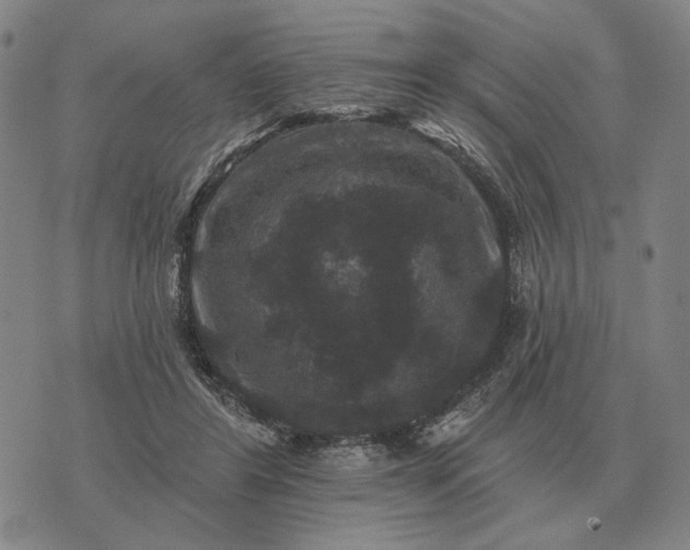 X0000070400404200606231807